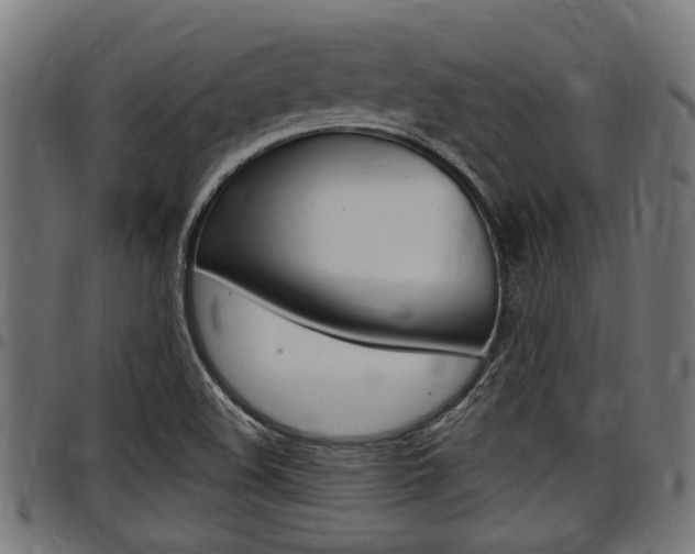 X0000098011508200803280719