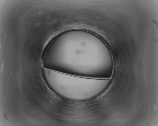 X0000098011509200803280719