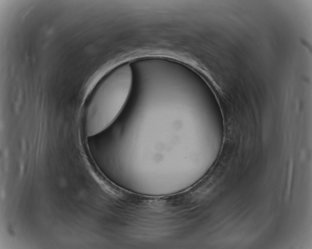 X0000098011511200803280719