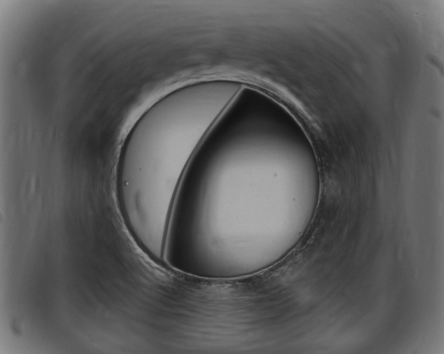 X0000098011512200803280719