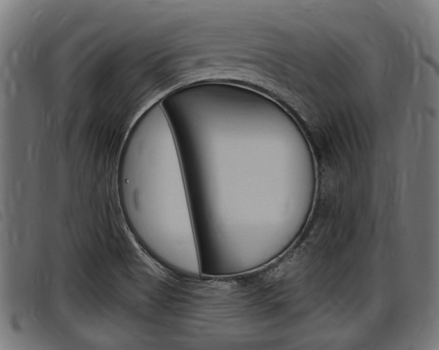 X0000098011513200803280719