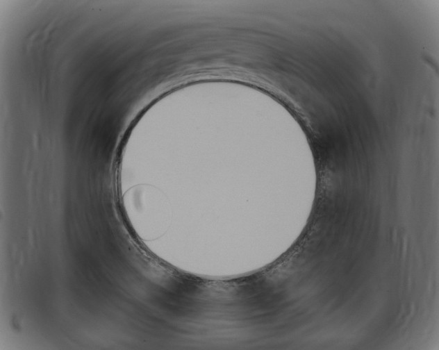 X0000098011514200803280719