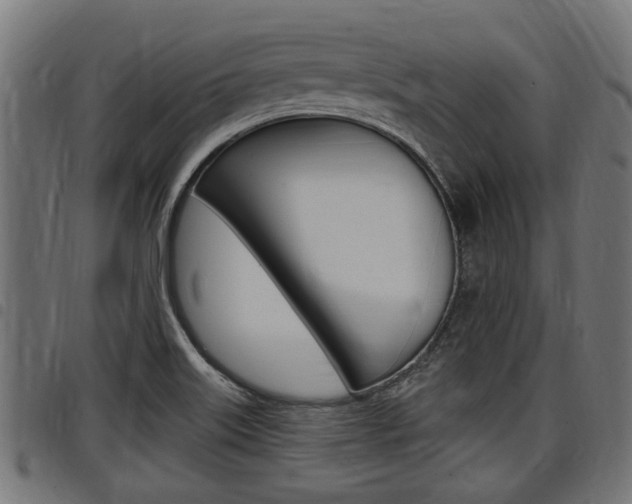 X0000098011515200803280719