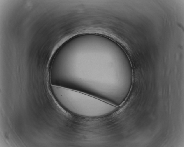 X0000098011517200803280719