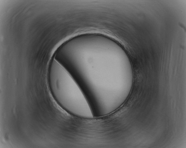 X0000098011518200803280719