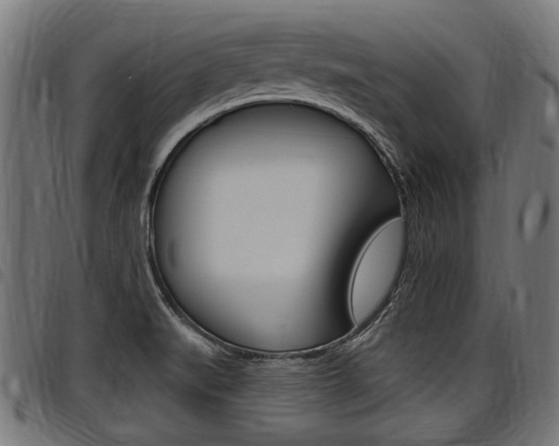X0000098011519200803280719