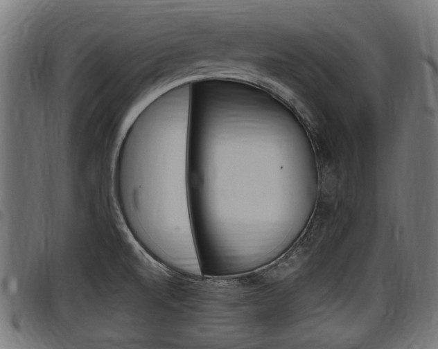X0000098011520200803280719