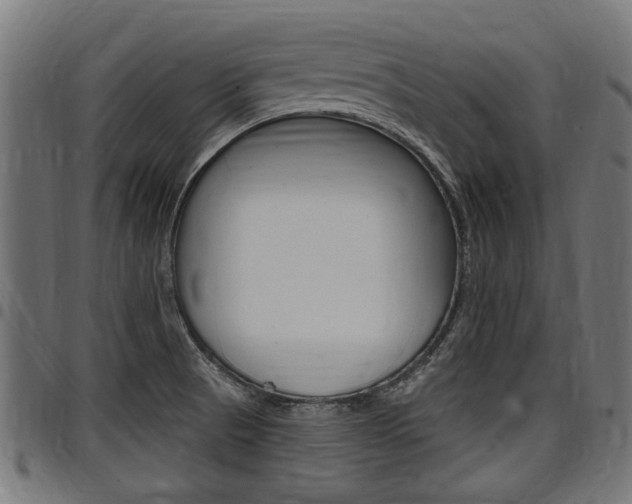 X0000098011521200803280719