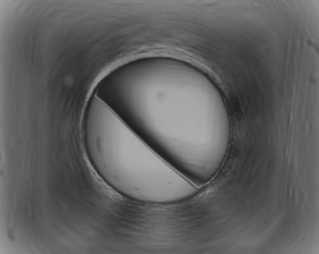 X0000098011522200803280719