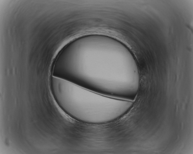 X0000098011523200803280719