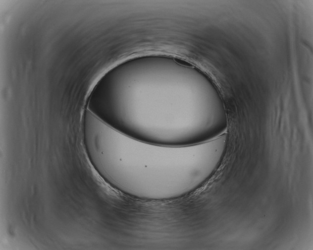 X0000098011524200803280719