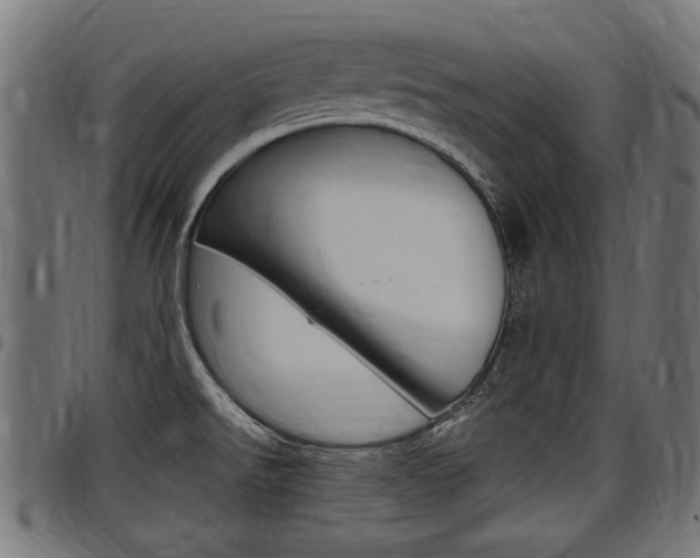 X0000098011526200803280719