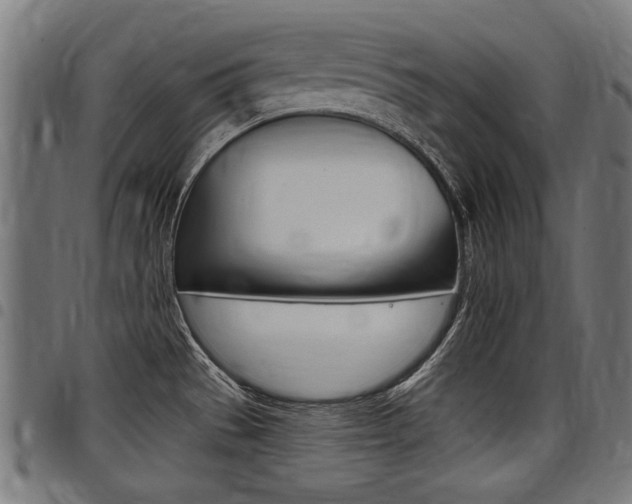 X0000098011529200803280719