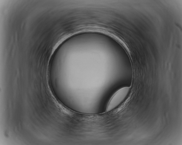 X0000098011533200803280719