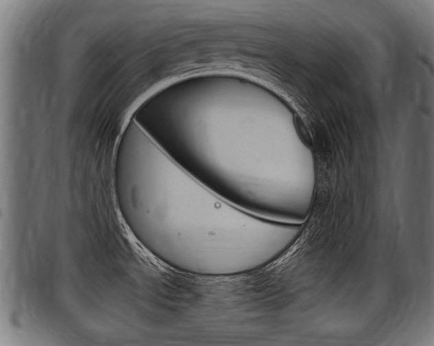 X0000098011534200803280719
