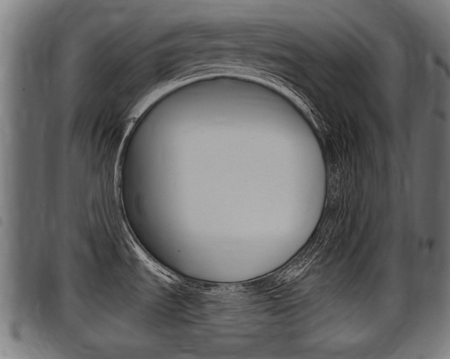 X0000098011535200803280719