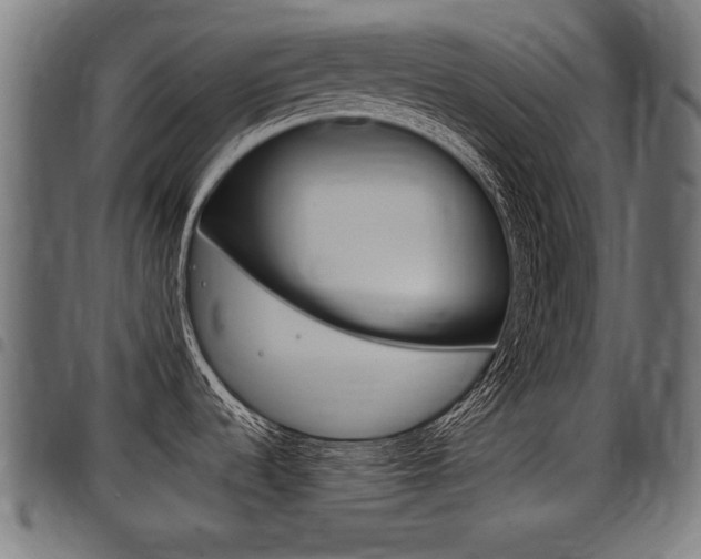 X0000098011536200803280719
