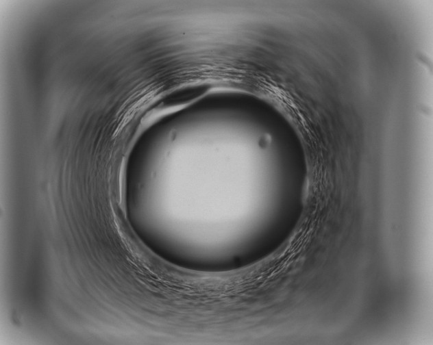 X0000098010001200803281322