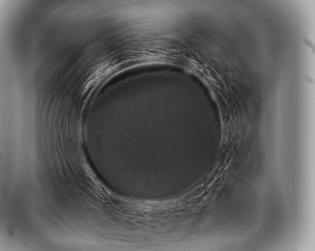 X0000098010002200803281322
