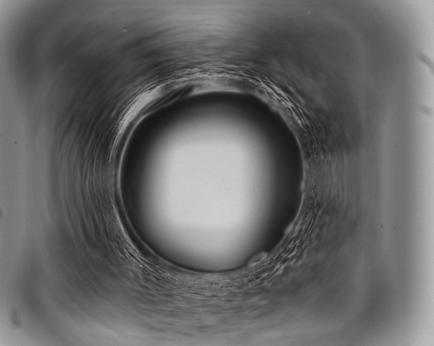 X0000098010003200803281322