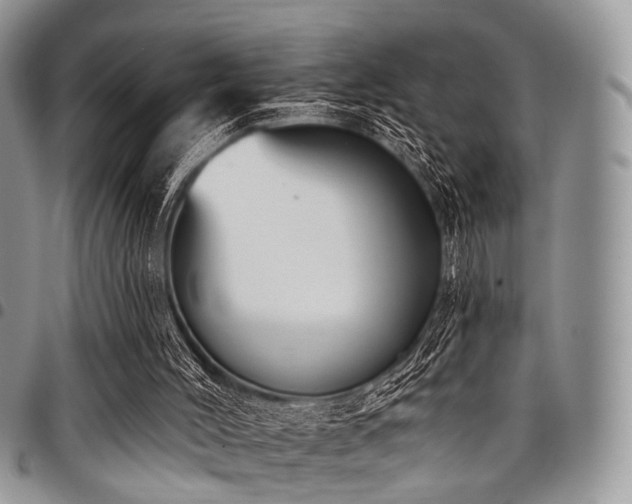 X0000098010004200803281322