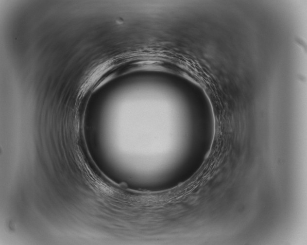 X0000098010005200803281322