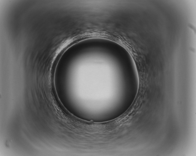 X0000098010008200803281322