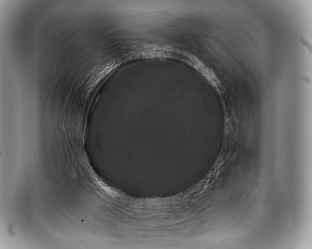X0000098010009200803281322