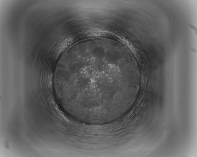 X0000098010010200803281322