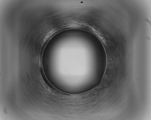 X0000098010011200803281322