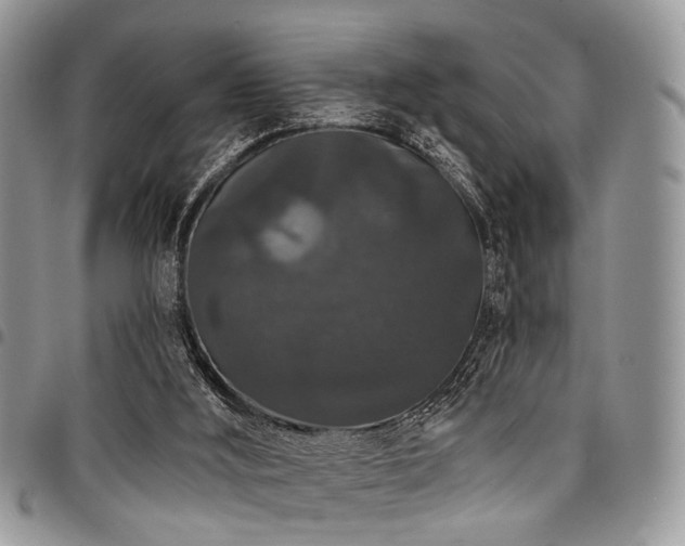 X0000098010012200803281322
