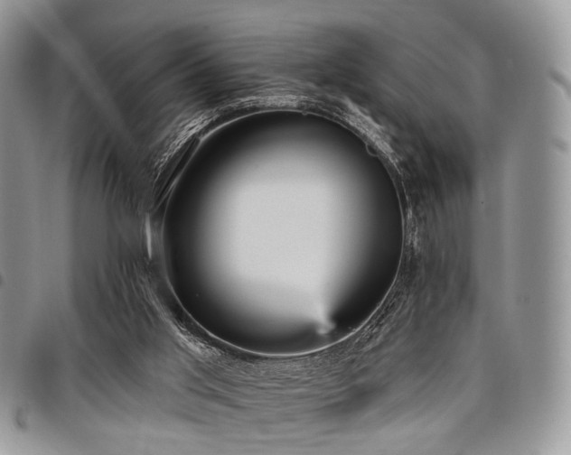X0000098010013200803281322