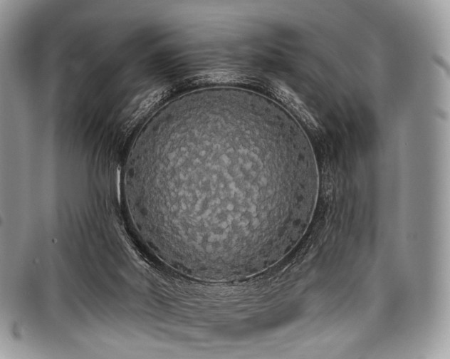 X0000098010014200803281322