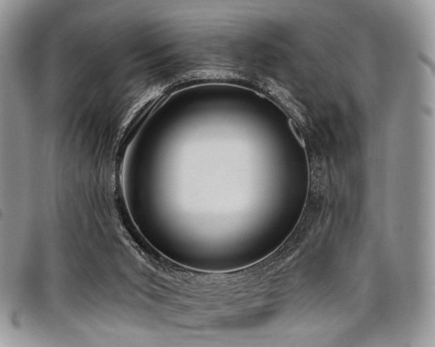 X0000098010015200803281322