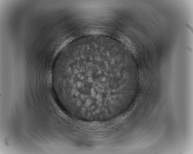 X0000098010016200803281322