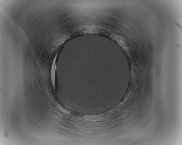 X0000098010017200803281322