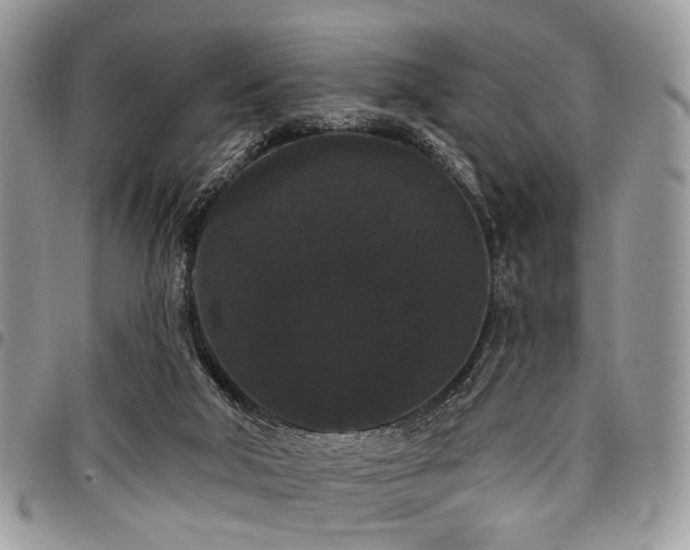 X0000098010018200803281322