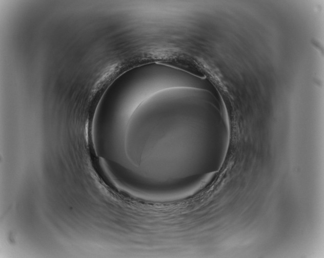 X0000098010019200803281322