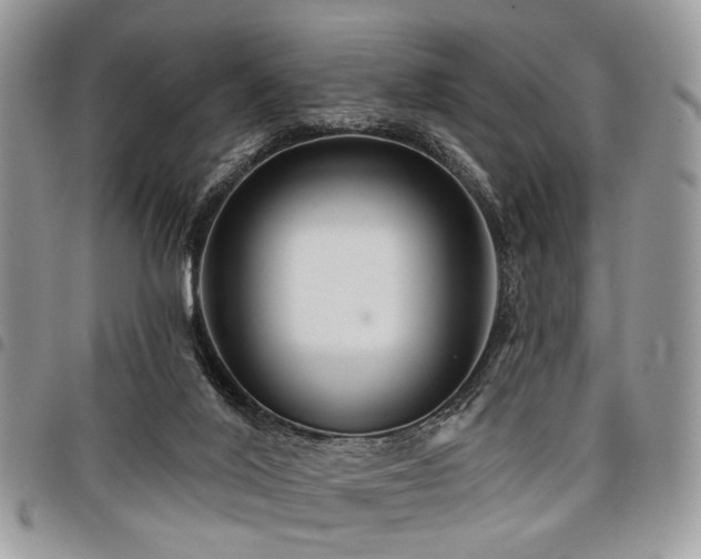 X0000098010020200803281322
