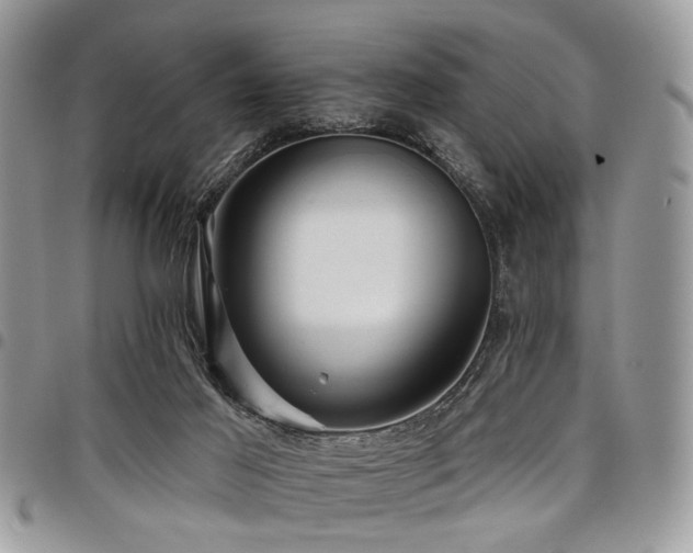 X0000098010021200803281322