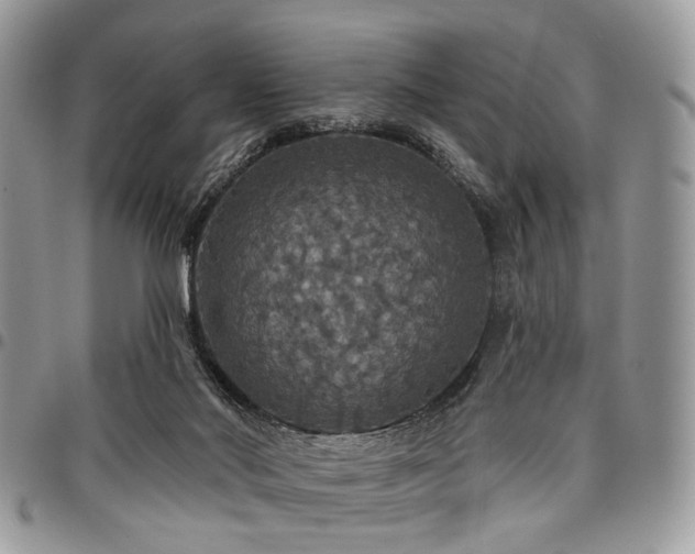X0000098010022200803281322