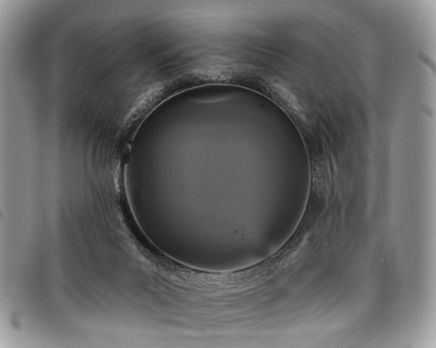 X0000098010023200803281322