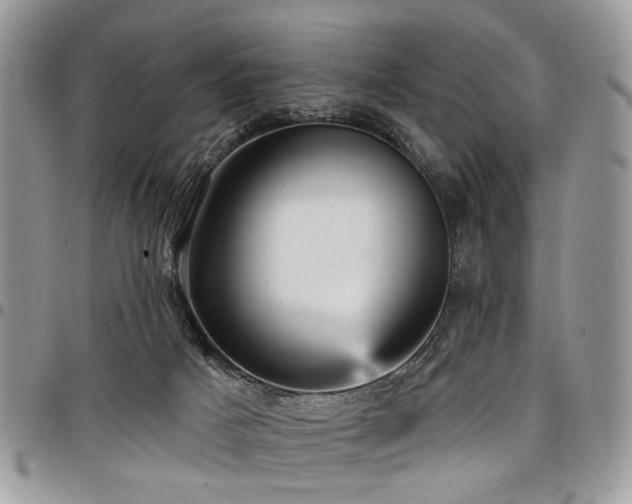 X0000098010025200803281322