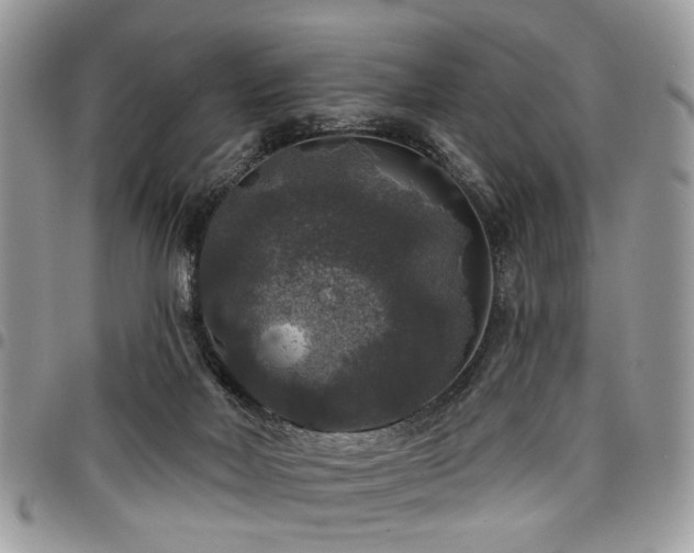 X0000098010026200803281322