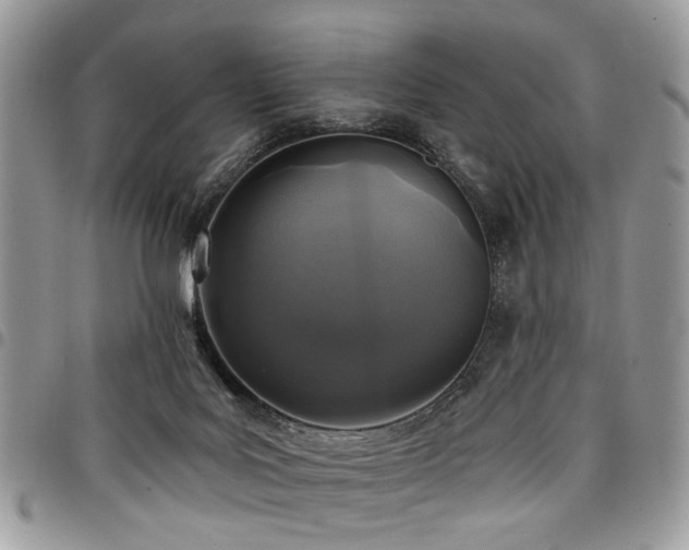 X0000098010027200803281322