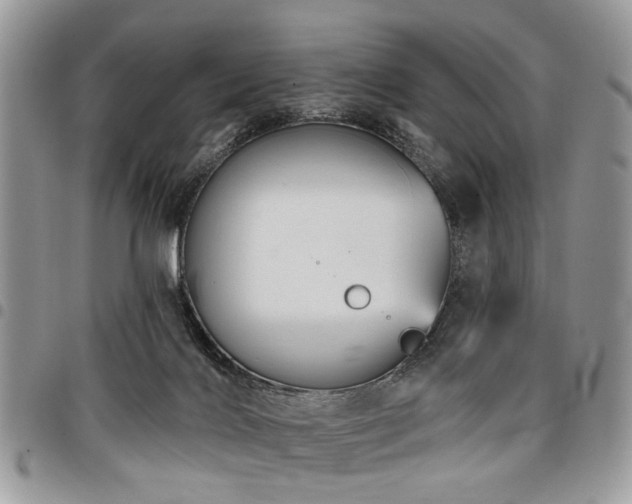 X0000098010028200803281322