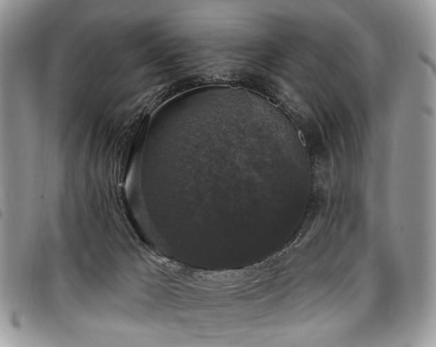 X0000098010029200803281322