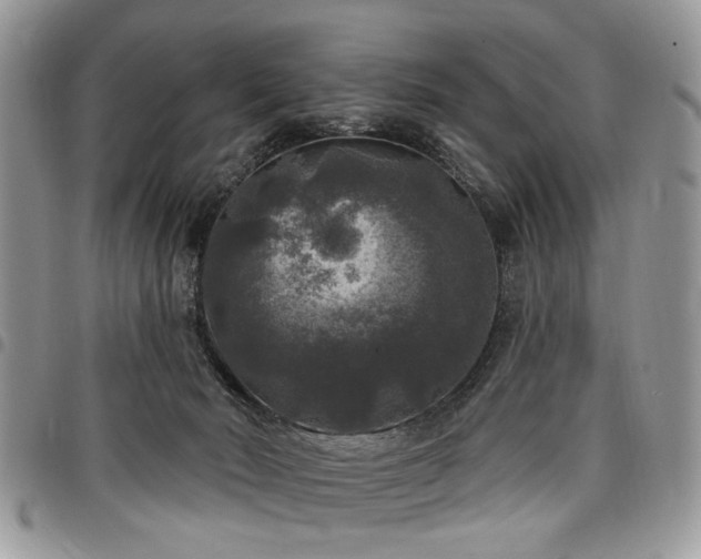 X0000098010030200803281322