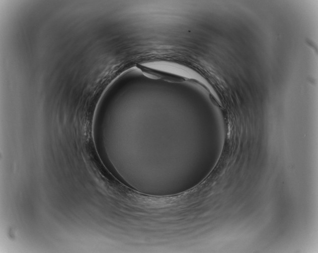 X0000098010031200803281322