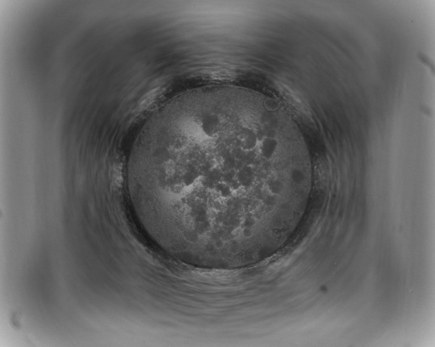 X0000098010032200803281322